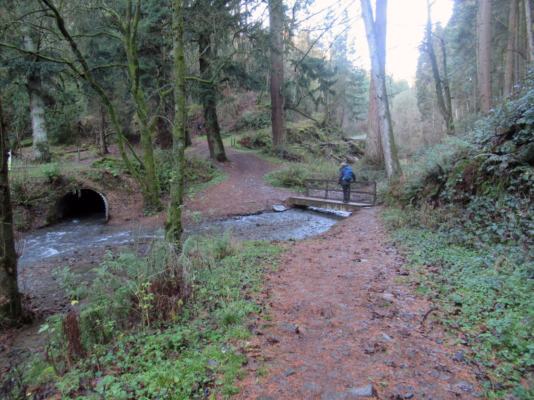 A stony path and bridge over a stream in the woods.